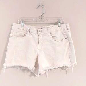 Universal  Thread white frayed jean shorts